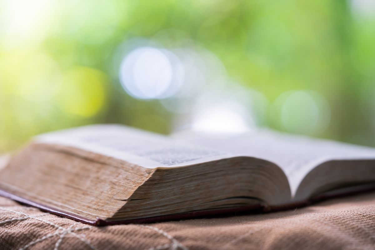 book, bible