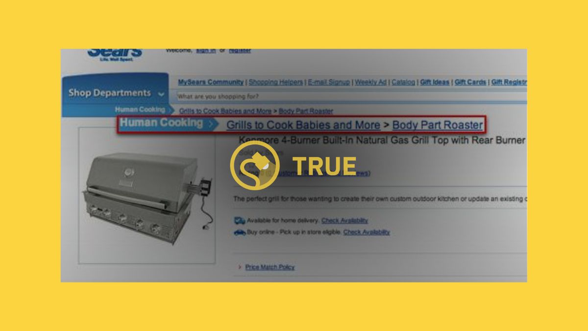 Text, Machine, Label
