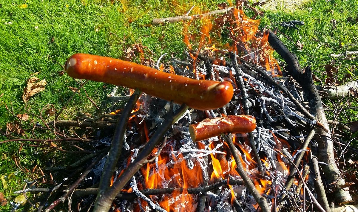 hotdog roast