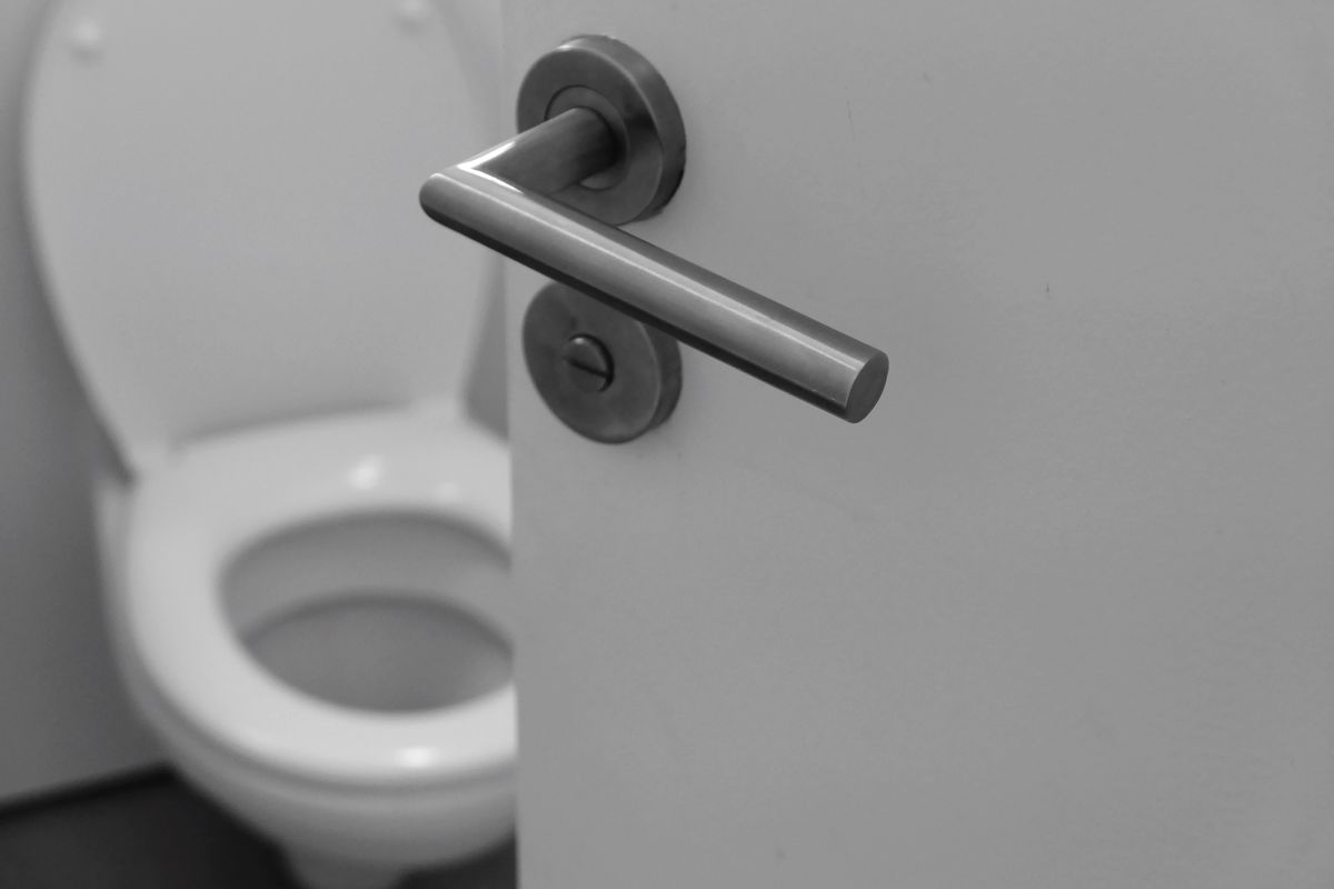 Handle, Toilet, Bathroom