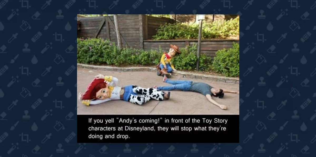 andy's coming