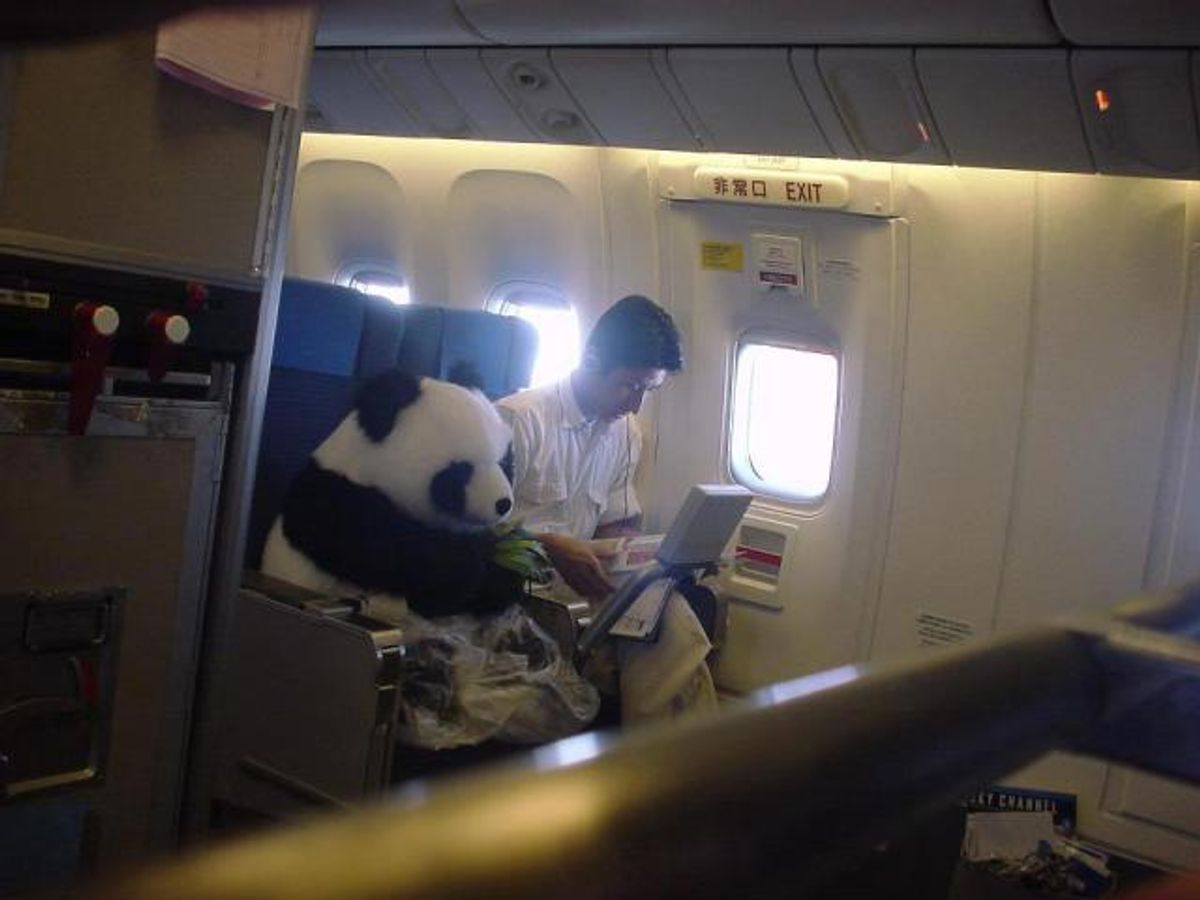 Panda Diplomacy