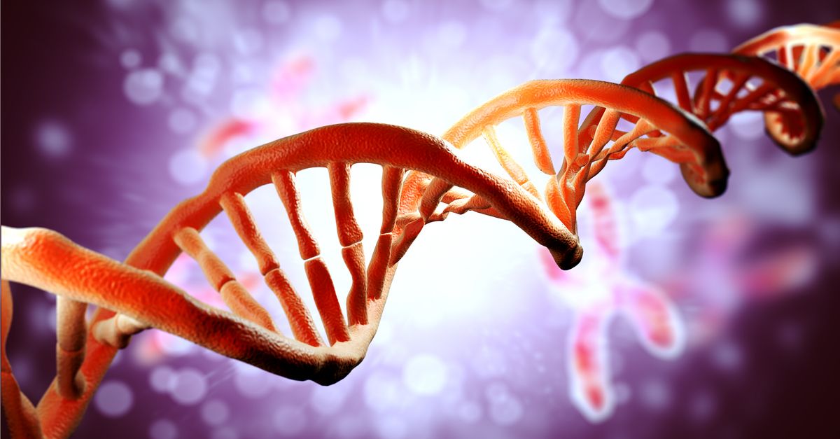 DNA