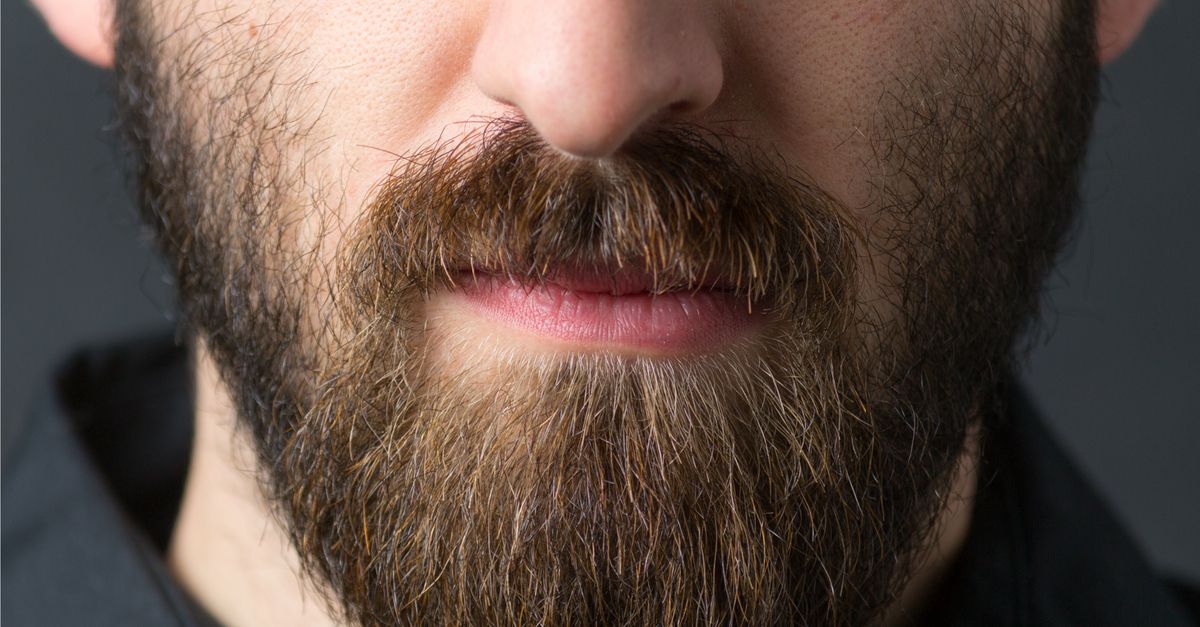 Close up of a bearded man