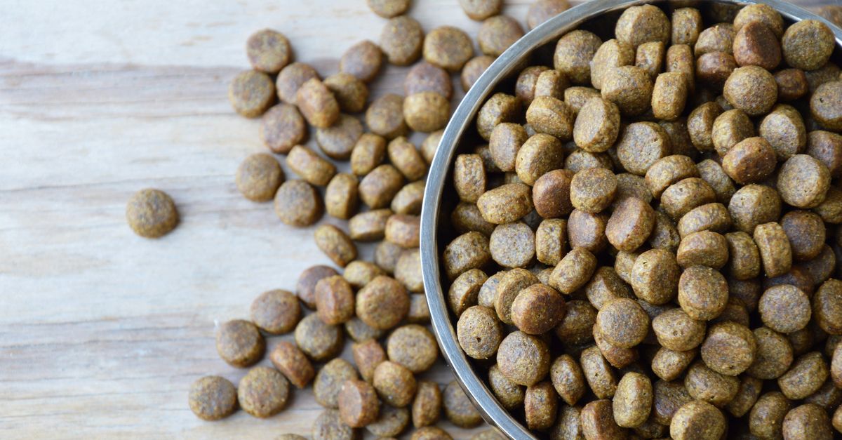 Bowl of pet food