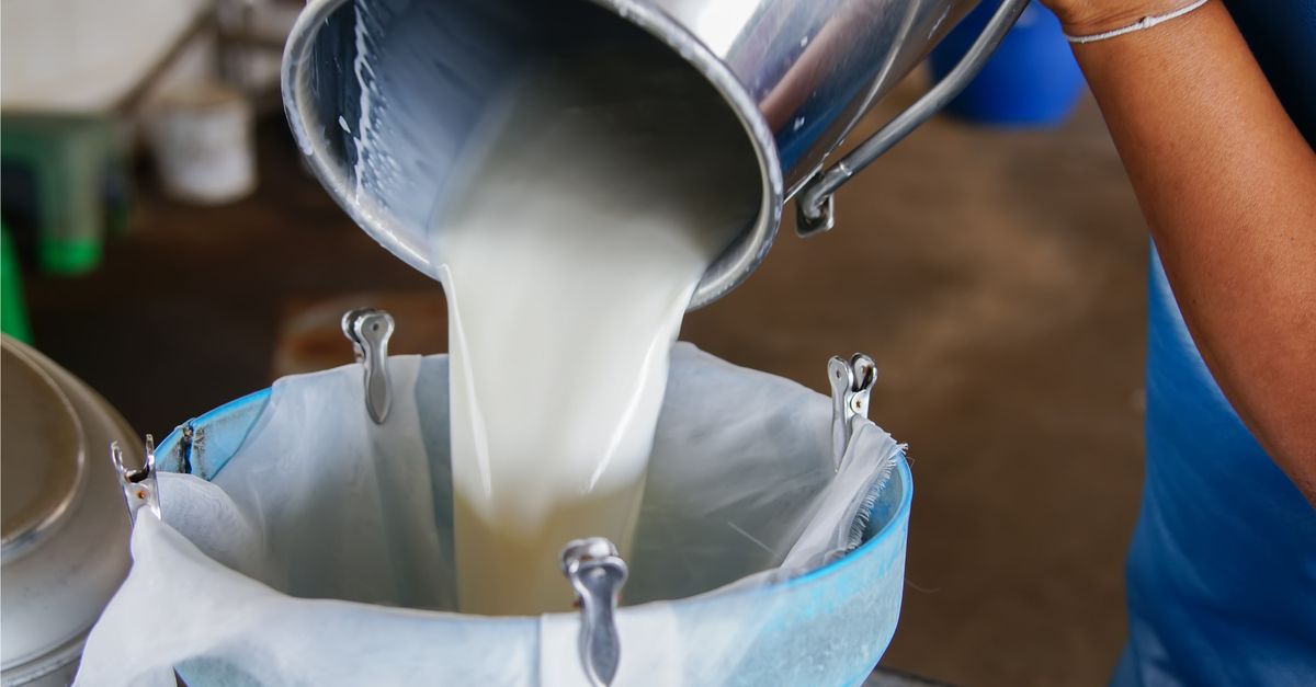 Raw milk