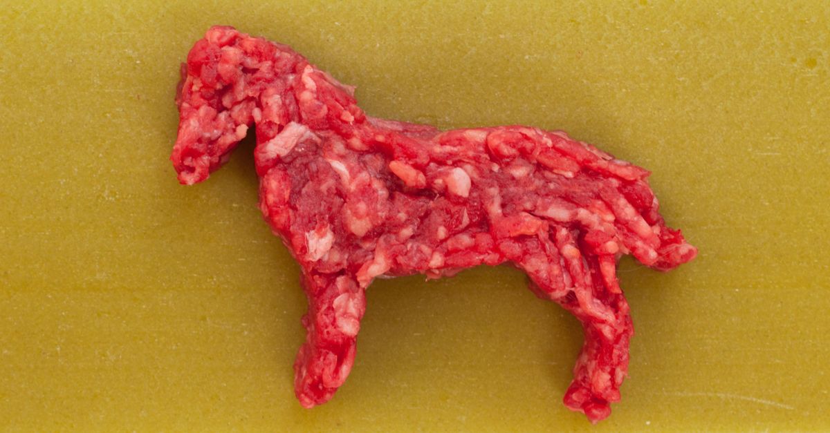 Horsemeat