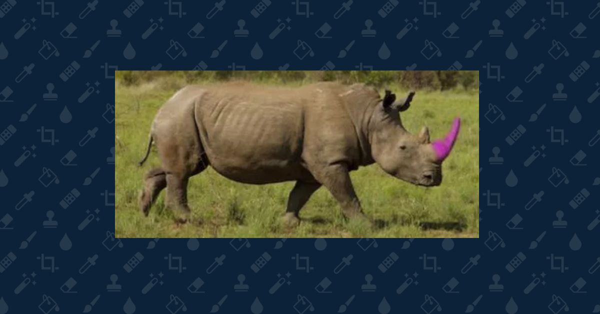 Photoshopped image of rhino with a pink horn
