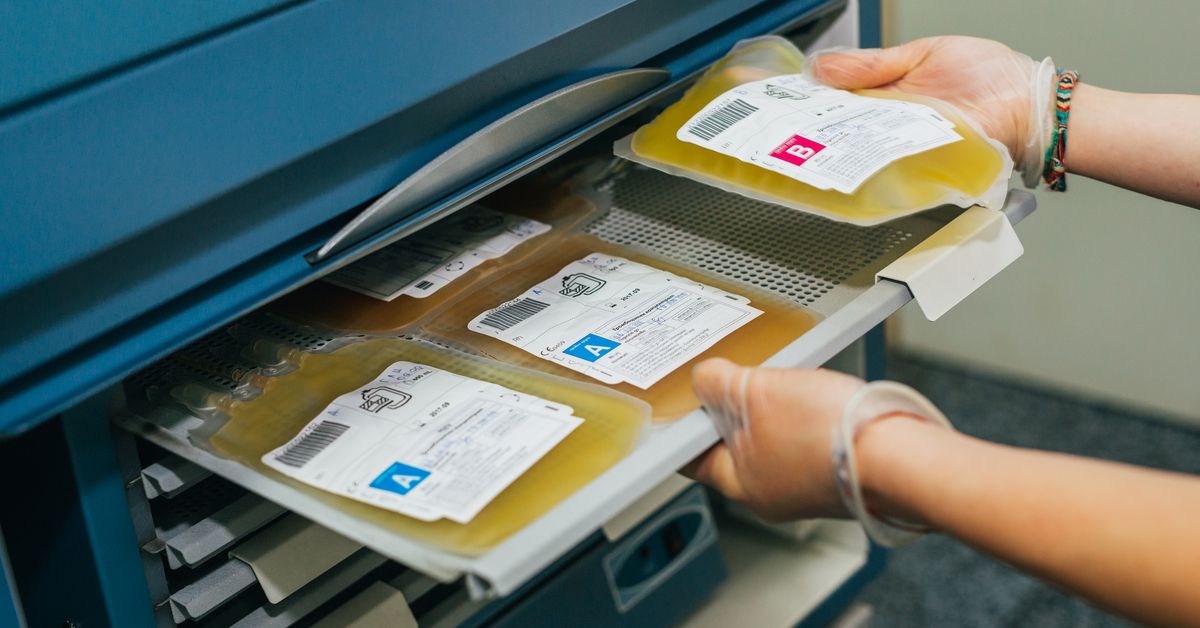Blood plasma.