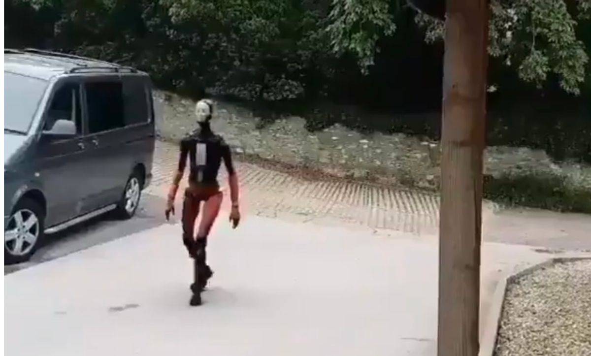 robot