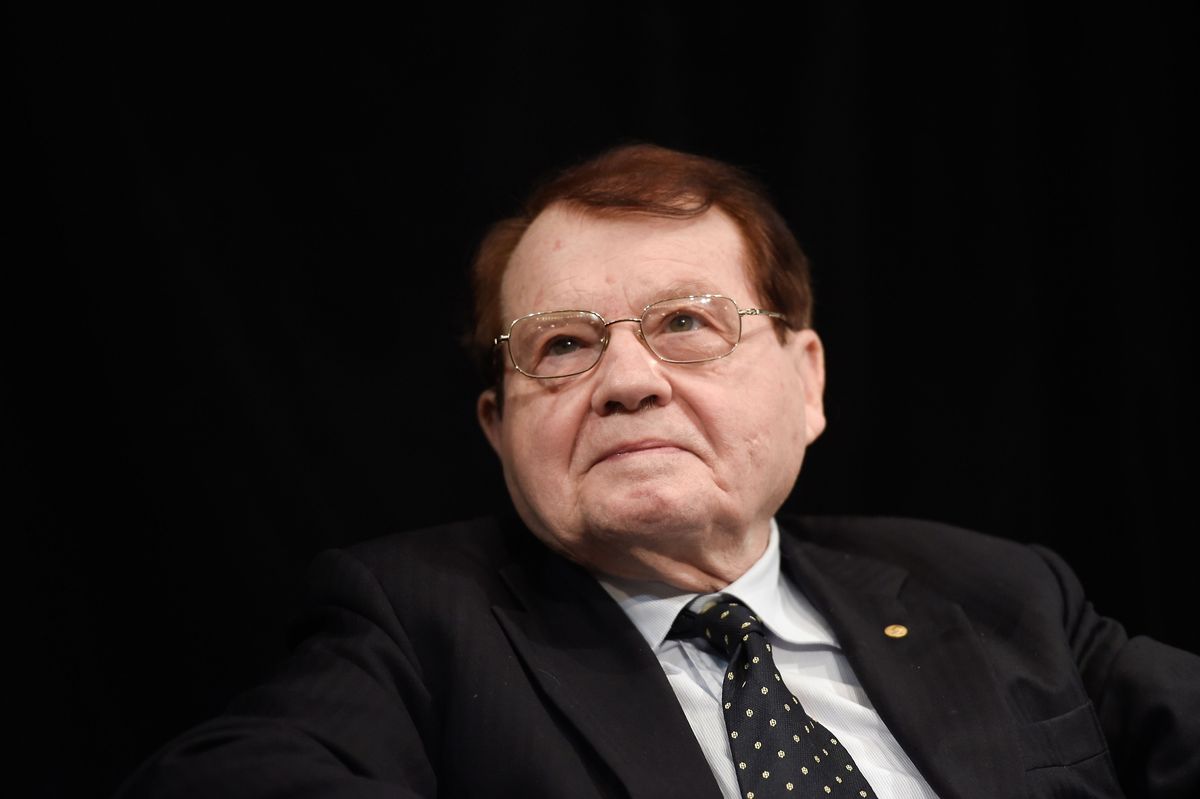 luc montagnier covid coronavirus
