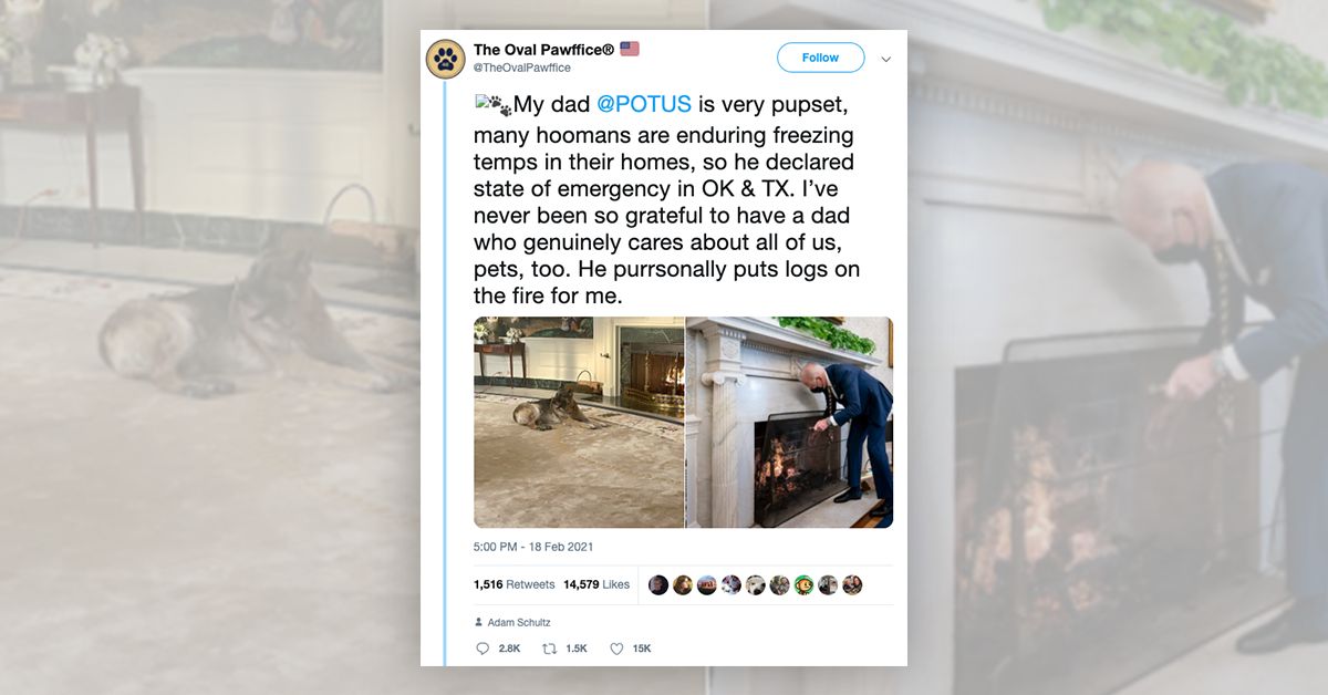 Person, Human, Fireplace