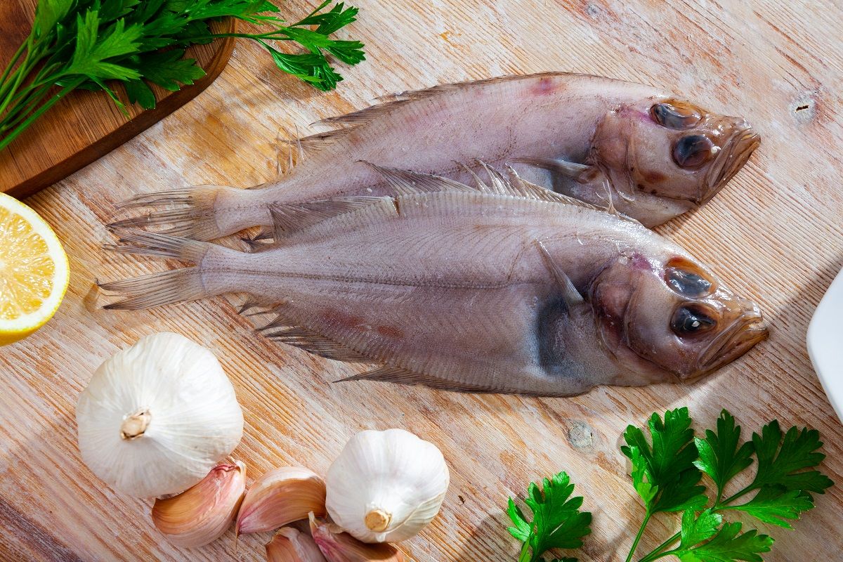 Raw,Seafood,,Fresh,Megrim,Sole,Flatfish,On,Wooden,Board