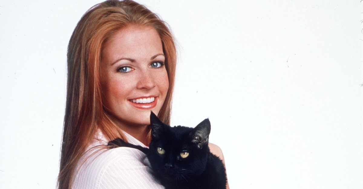 Person, Human, Black Cat