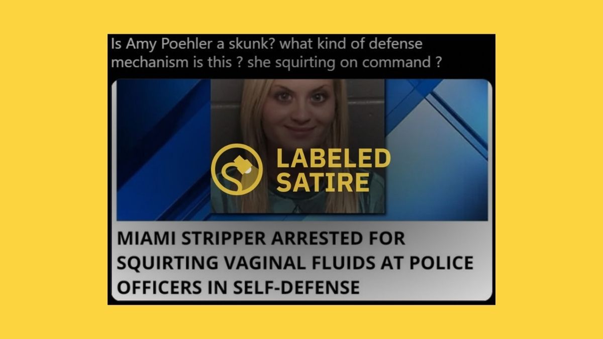 A piece of satire went viral because an image of this alleged stripper resembled actress Amy Poehler.