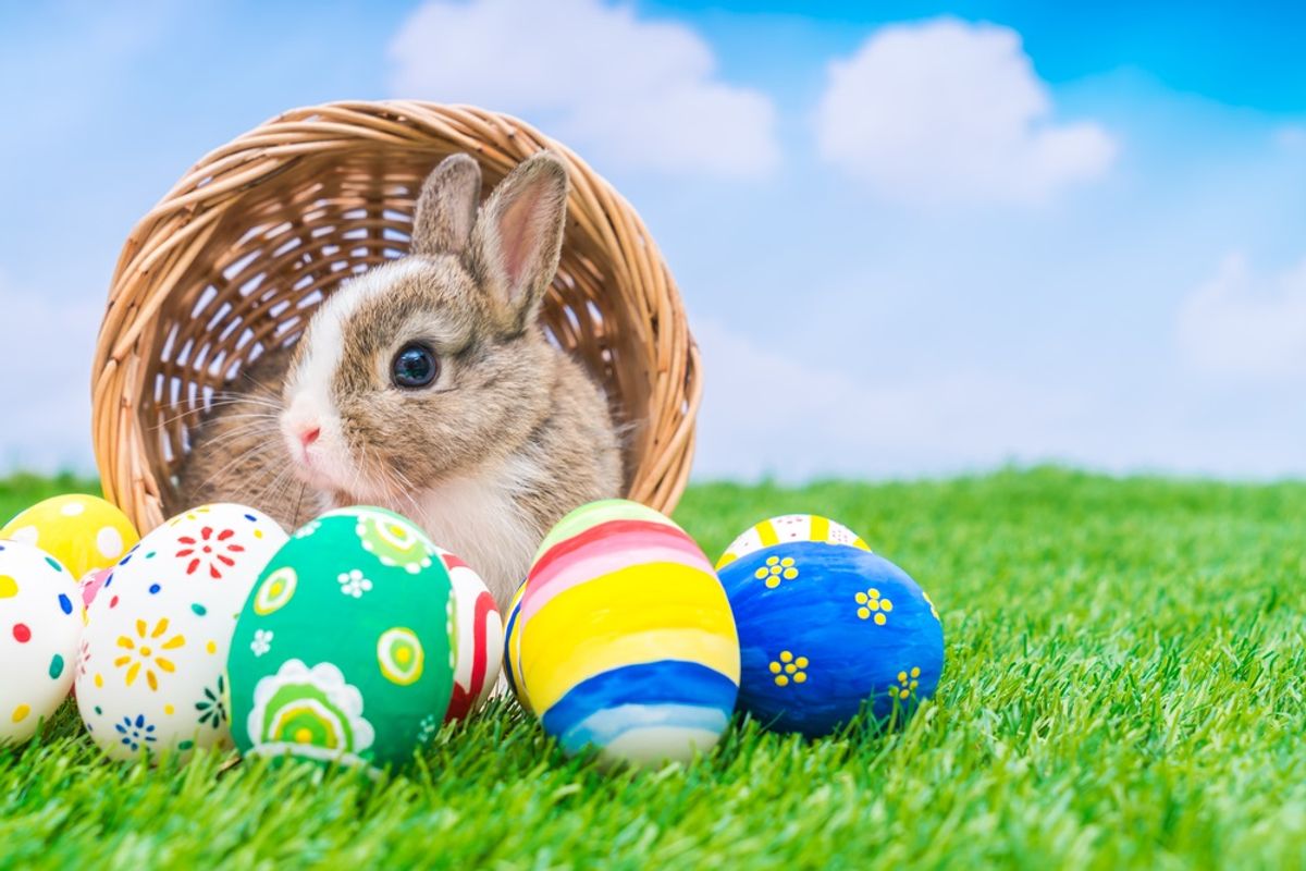 Easter bunny