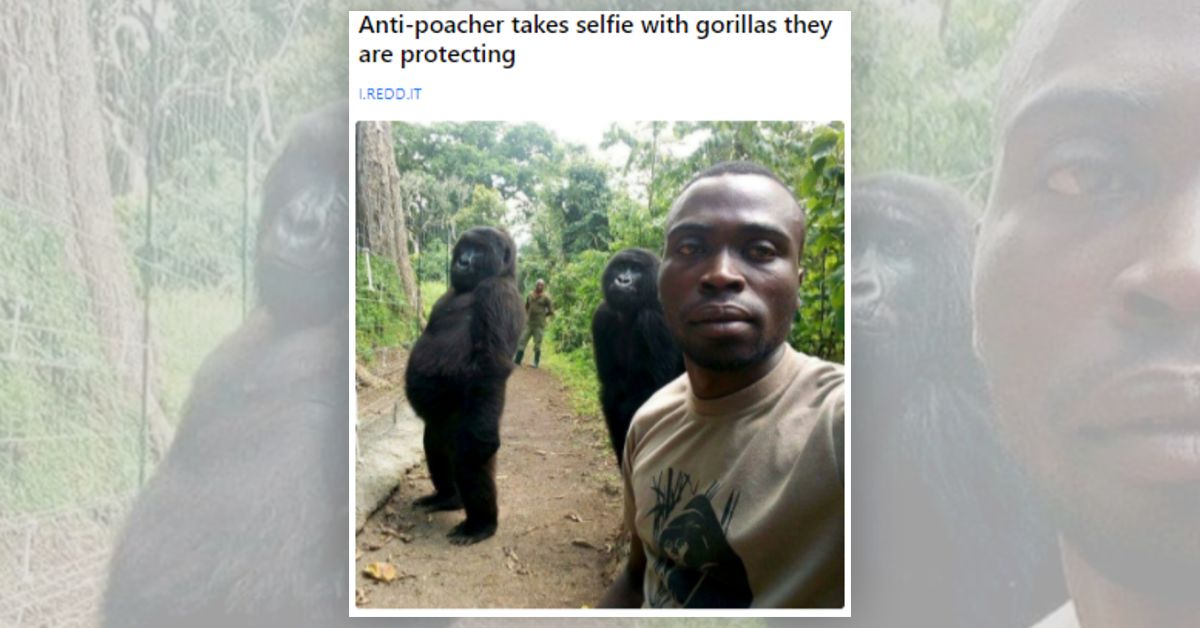 The picture has been around since 2019 and has gone viral multiple times since its original publication.