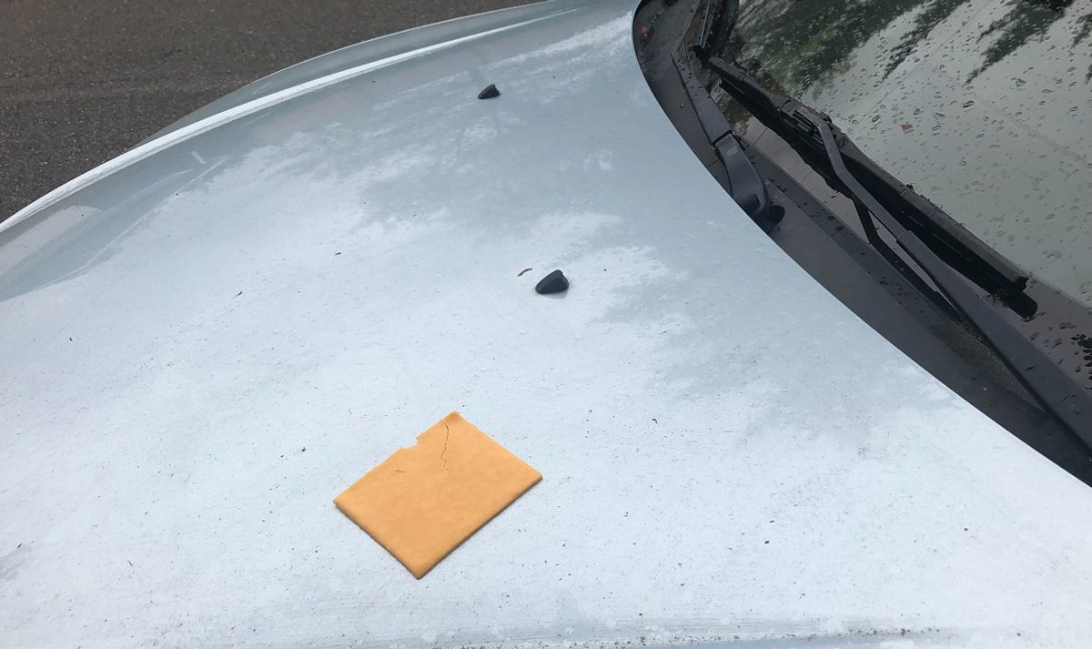 slice of cheese on car hood - danger!