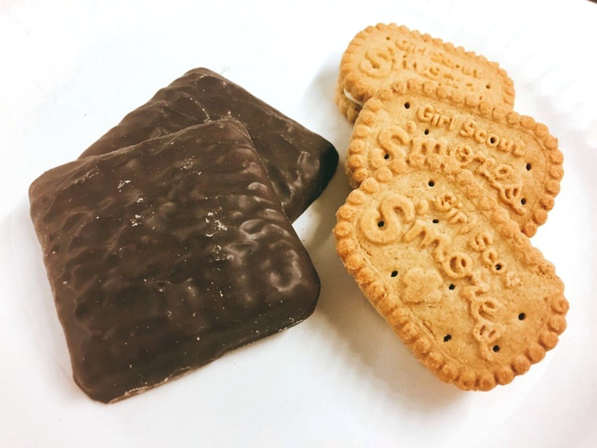 Bread, Food, Cracker