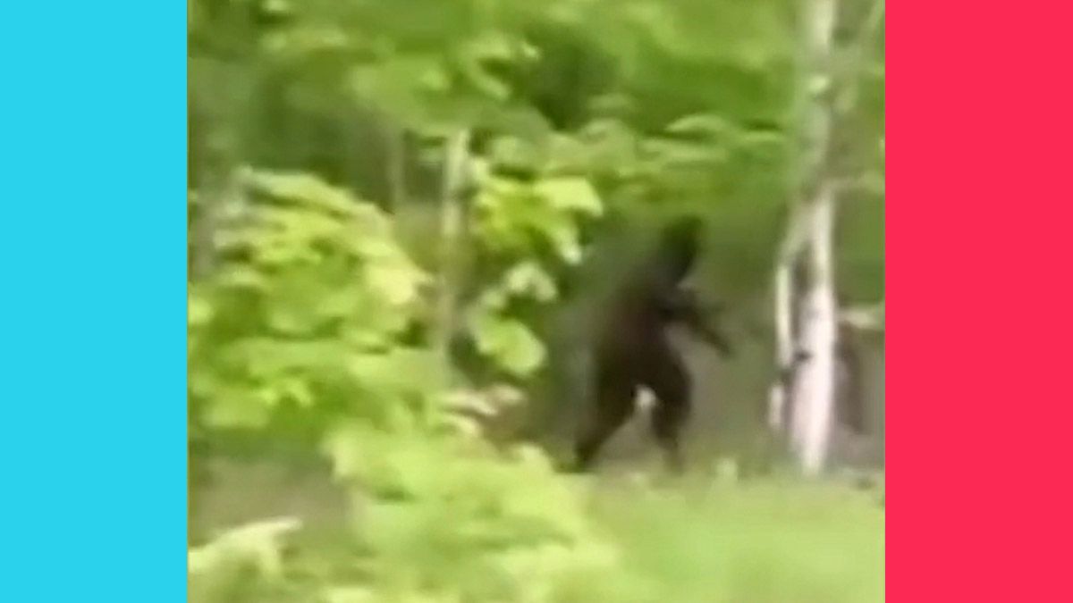 Bigfoot was purportedly filmed from an ATV or UTV in a viral TikTok video and chased a group of men.