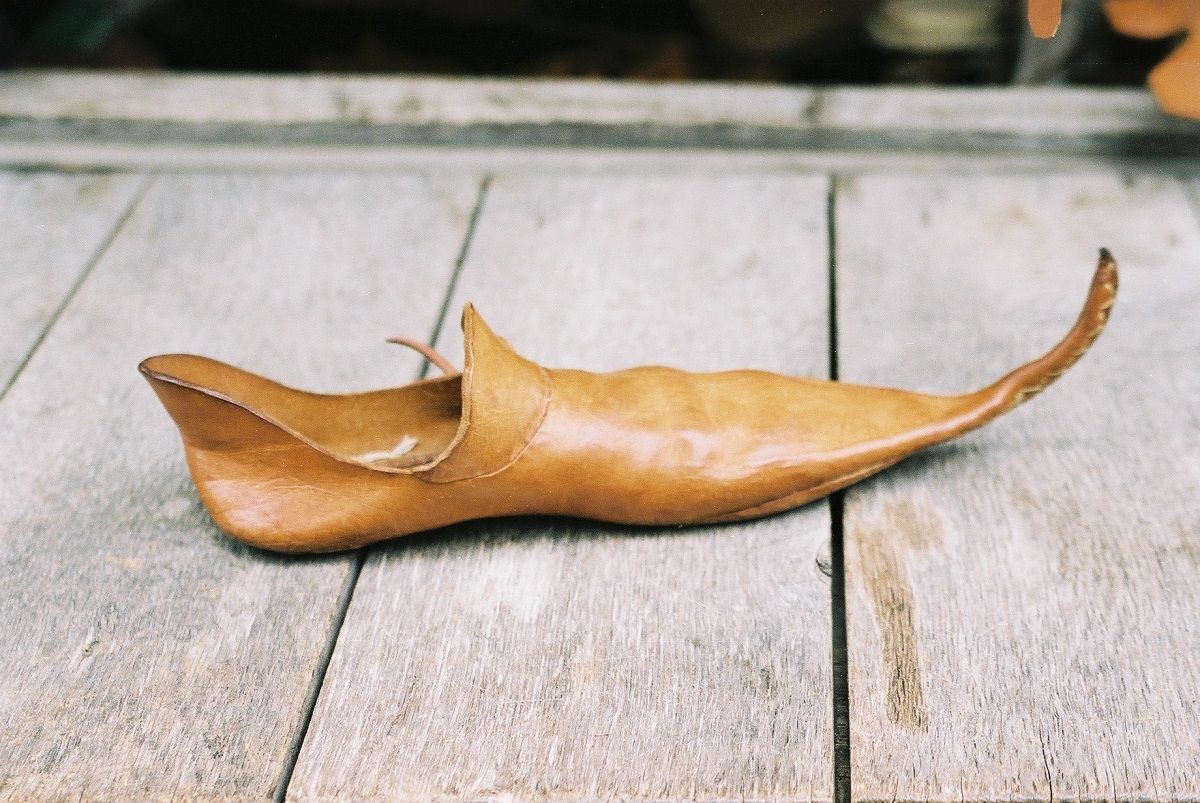 pointy shoe