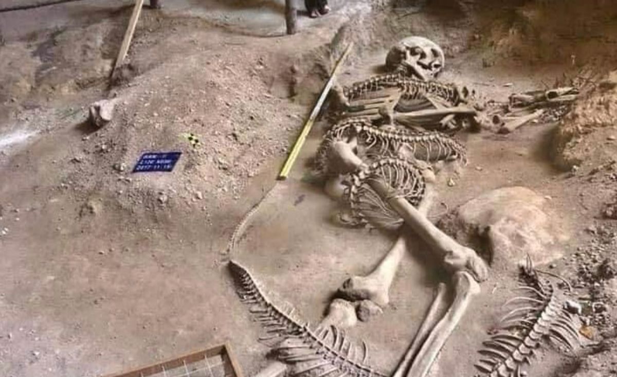 Soil, Archaeology