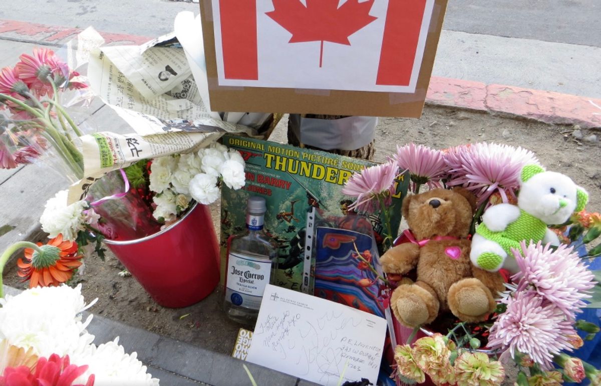 Teddy Bear, Toy, Leaf