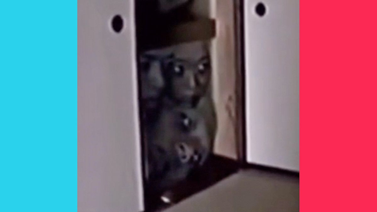 The faces in the closet viral video is on TikTok and might be a Japanese horror film.