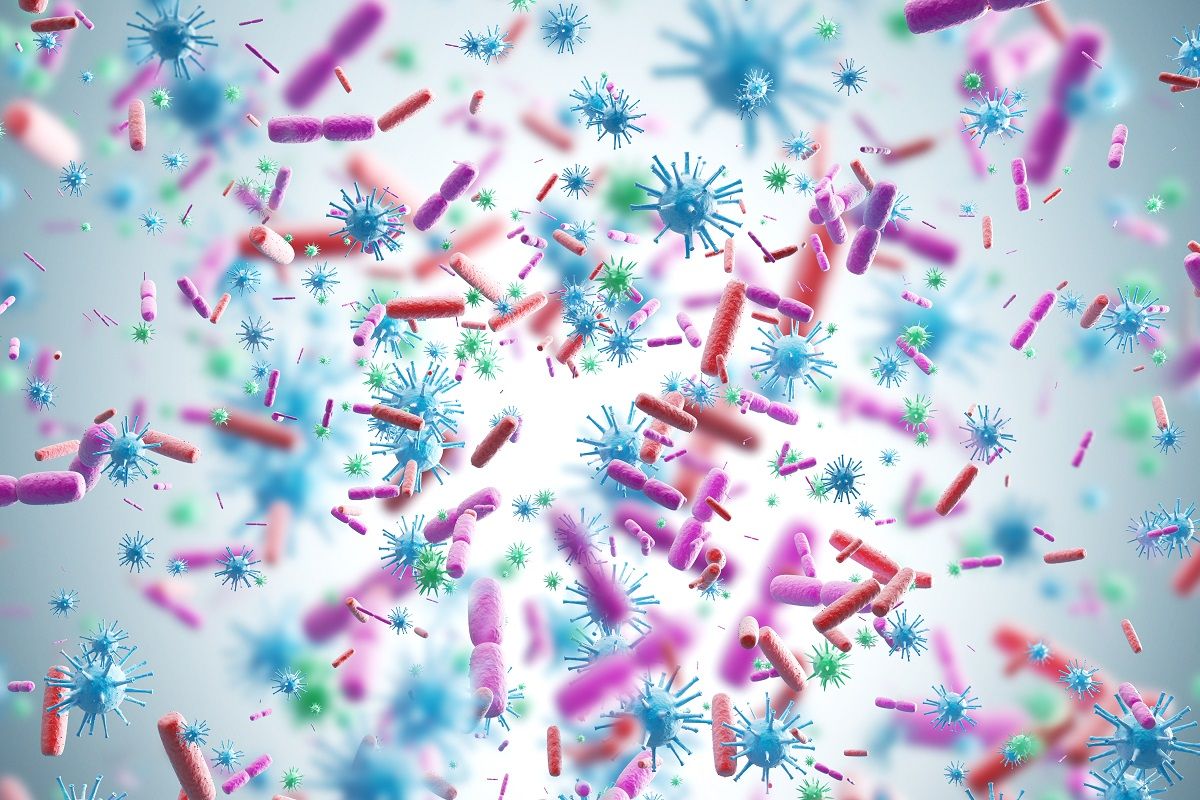 germs and bacteria