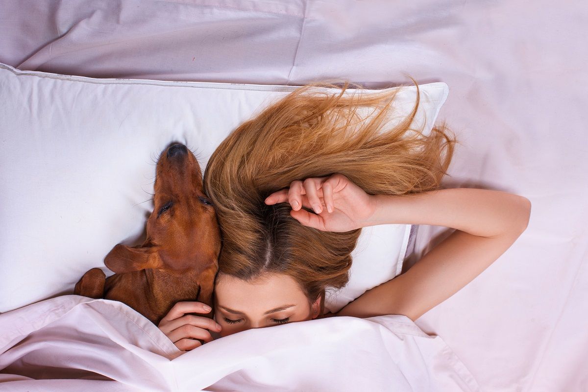 Beautiful,Girl,Is,Sleeping,Under,A,Blanket,On,A,Pillow