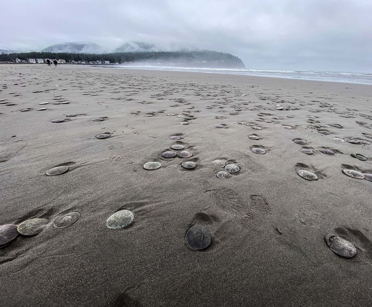Sand, Outdoors, Nature