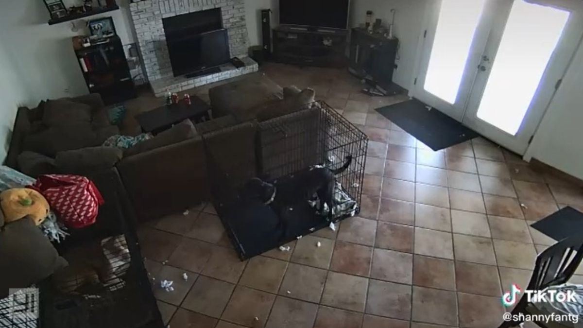 Couch, Furniture, Screen