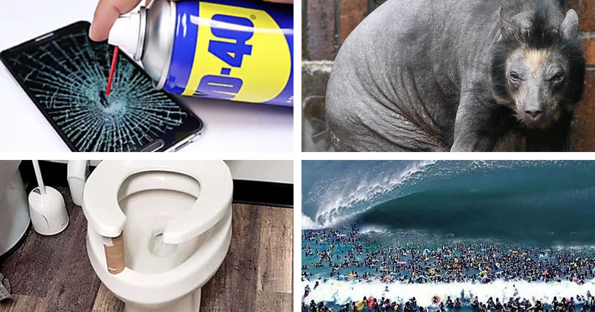 Snopes debunked and documented quite a few odd online advertisements in 2021.
