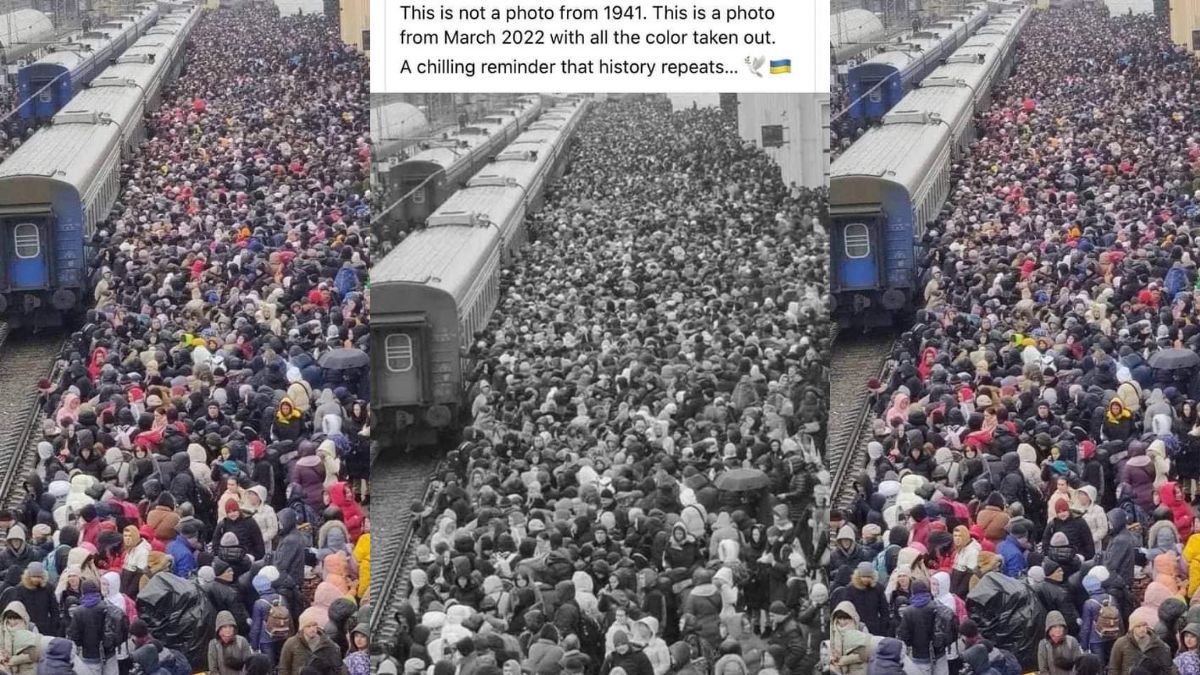 Person, Human, Crowd