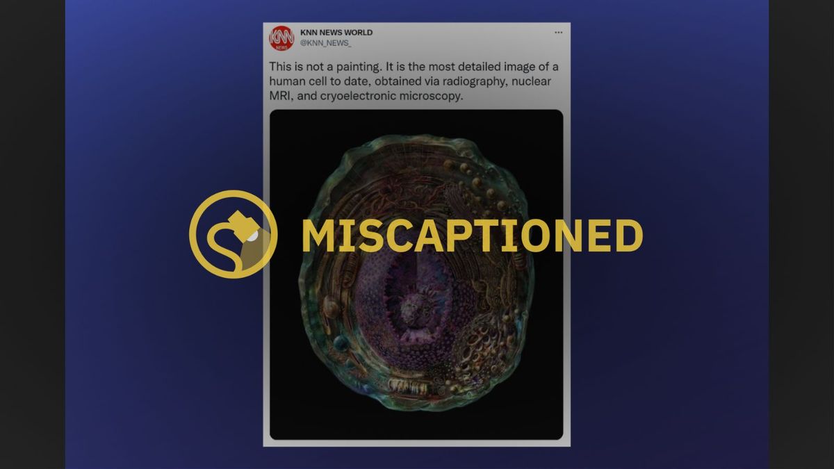 Is this the most detail image of a human cell to date?
