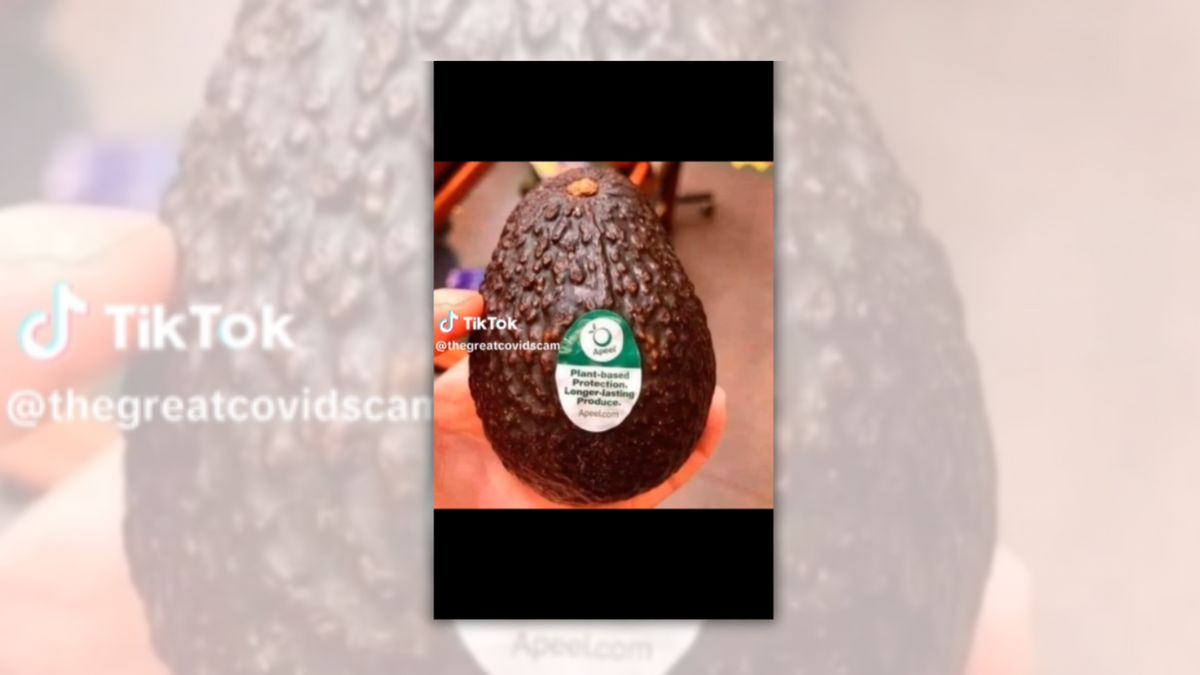 An avocado with an Apeel sticker is pictured.
