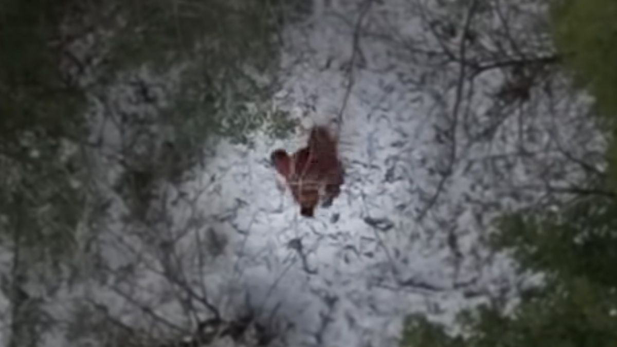 A headline claimed that new drone footage of Bigfoot was the best evidence yet of its existence.