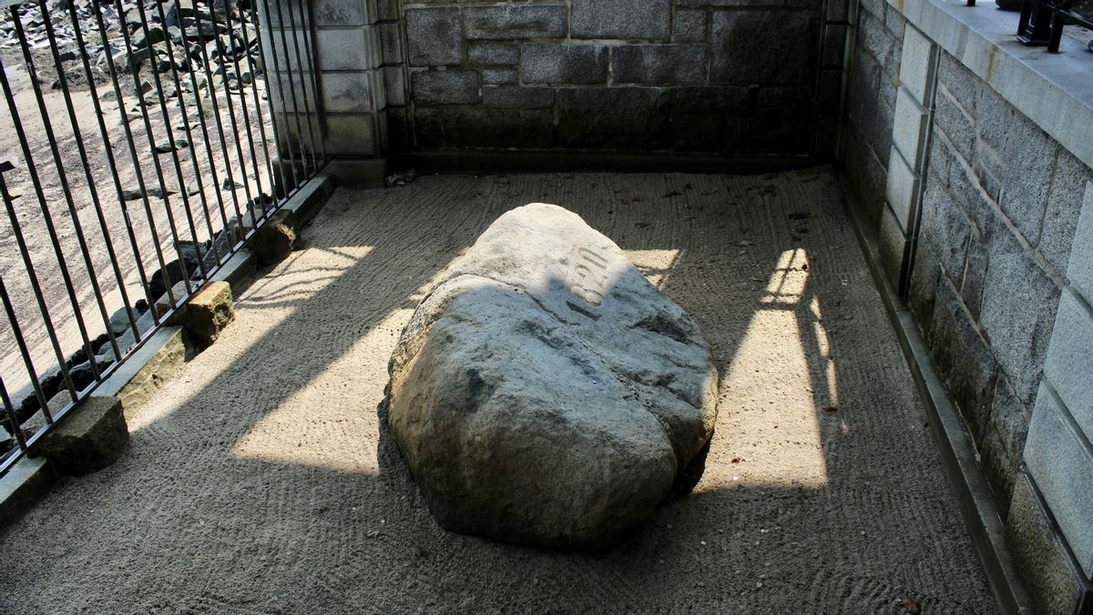 plymouth rock