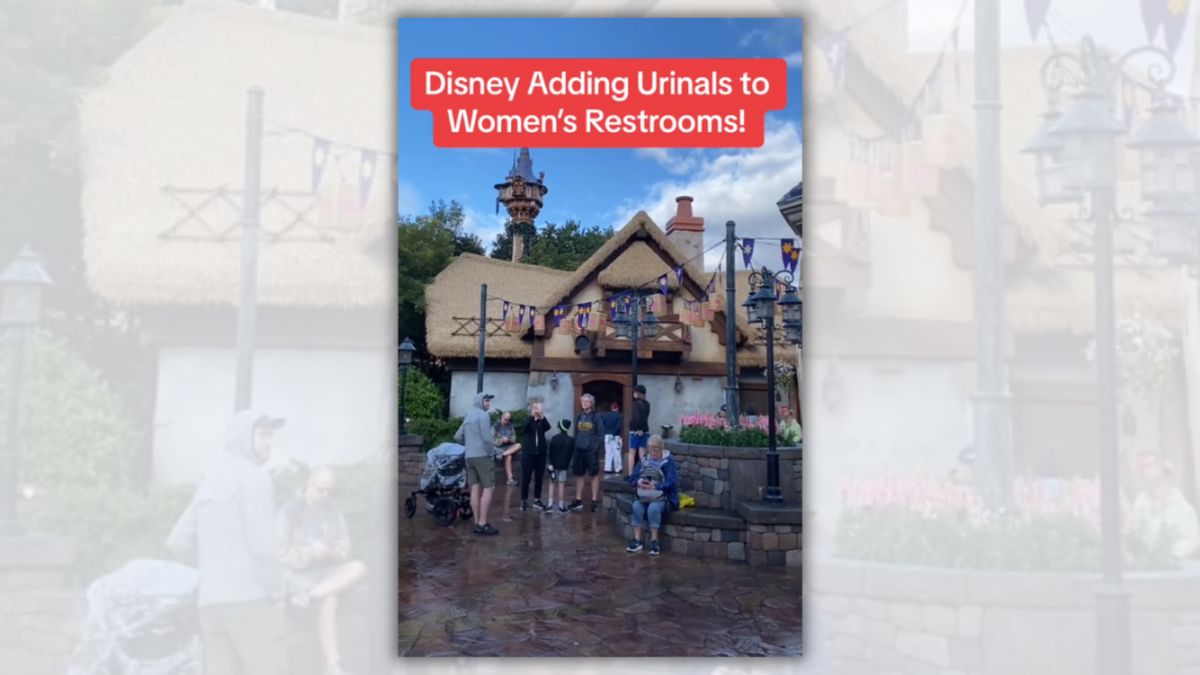 A line stands outside a cottage building. White text above it says, "Disney Adding Urinals to Women's Restrooms!"