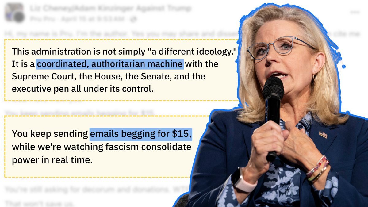A white woman speaking into a microphone is pictured. Next to it, black text says, "This administration is not simply "a different ideology." It is a coordinated, authoritarian machine with the Supreme Court, the House, the Senate, and the executive pen all under its control" and "You keep sending emails begging for $15, while we're watching fascism consolidate power in real time." A blue box highlights both "coordinated, authoritarian machine" and "emails begging for $15."