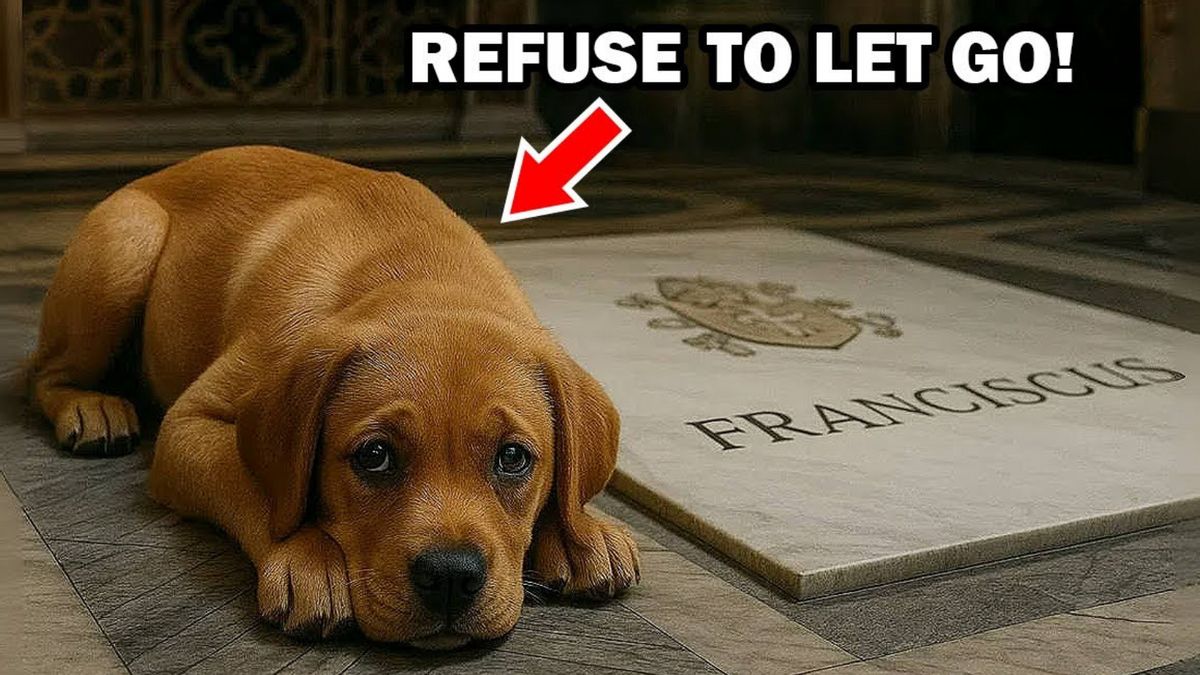 A brown dog lies besides a grave that says FRANCISCUS. Above, a red arrow points to the dog, with white text saying, "REFUSE TO LET GO!"