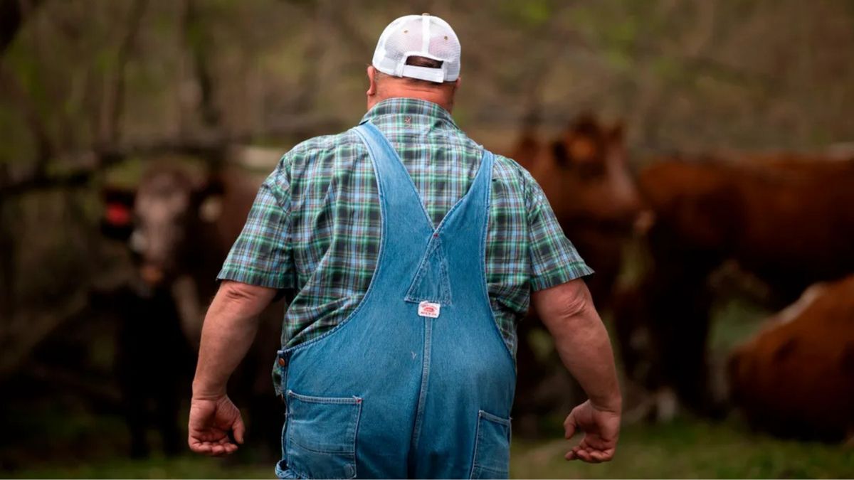 The back of a white man wearing overalls is seen. Cows are seen in the background of the image.