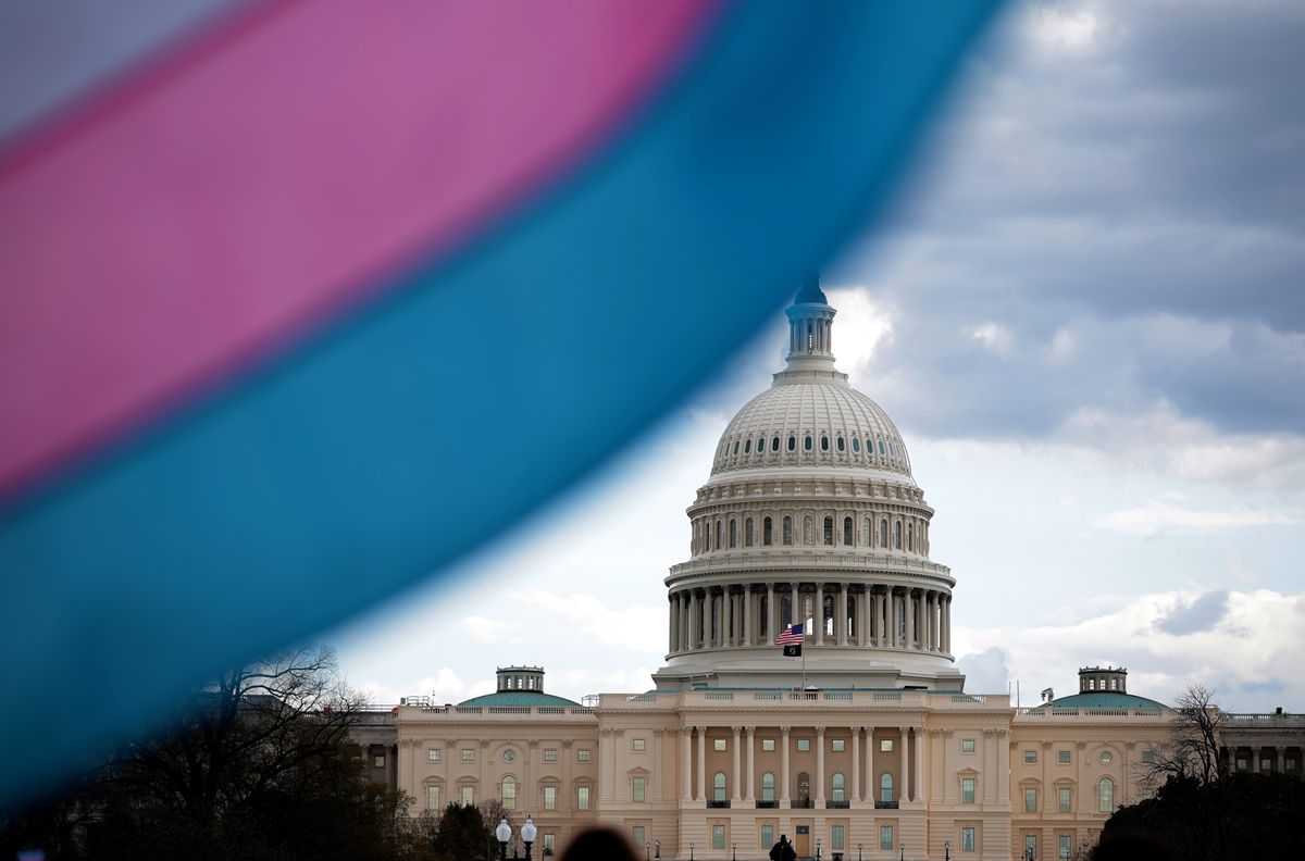 A pink and blue striped trans flag in the blurry foreground of an image of the U.S. Capitol, a white dome.