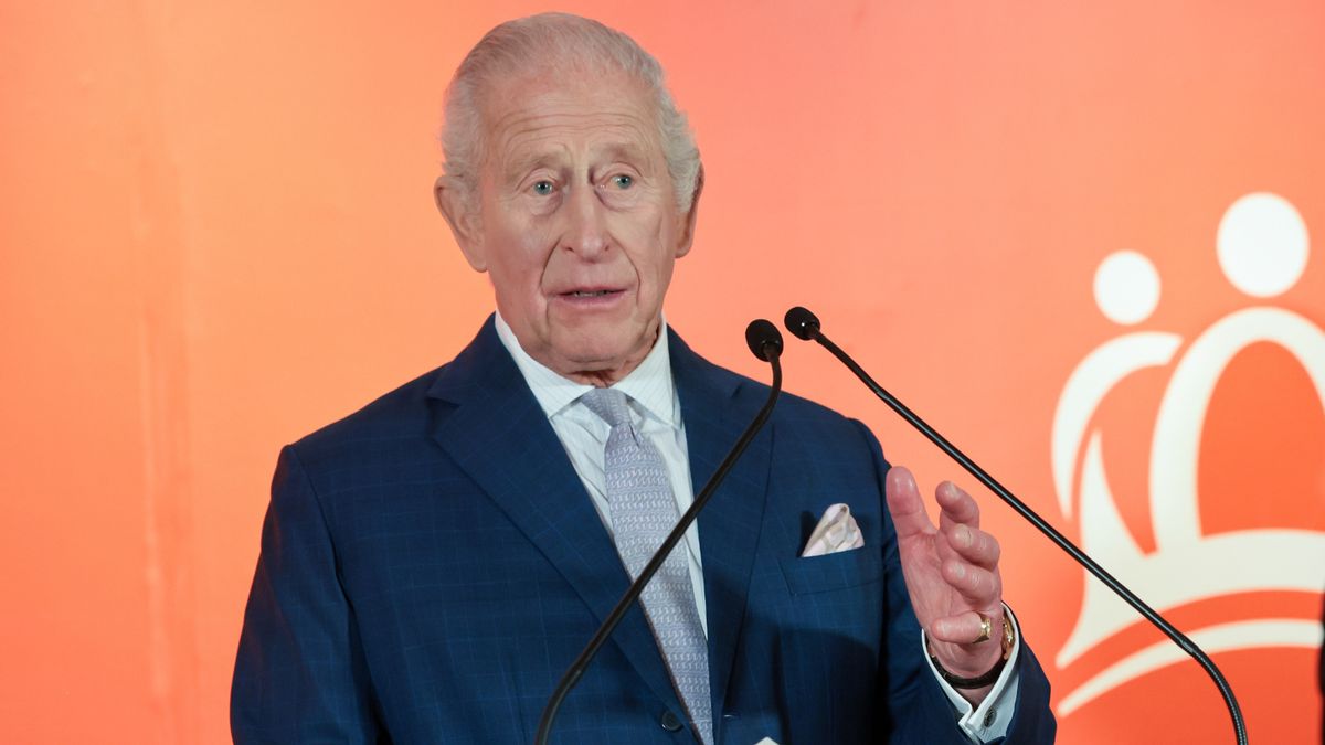 Image shows King Charles III speaking at an event.