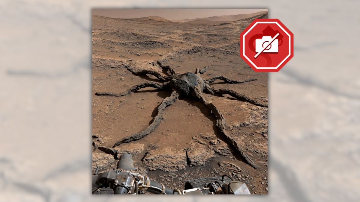 A dark, eight-legged rock formation with a rounded "body" lies on a surface of reddish dirt.