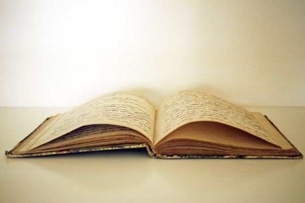 suicide diary 15 year old