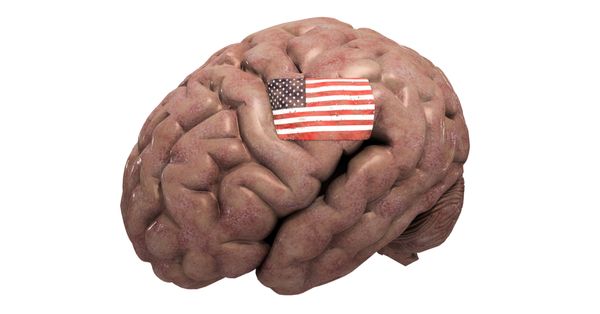 Brain with an American flag on it