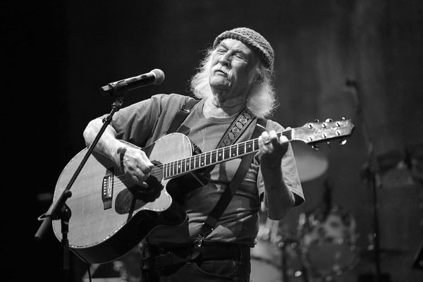 Guitar, Leisure Activities, Musical Instrument