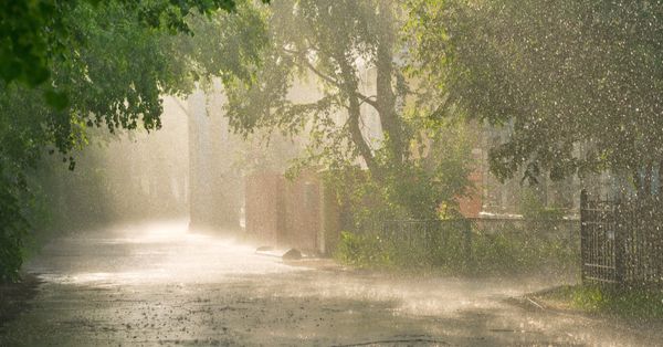 sunshower sun shower rain sun
