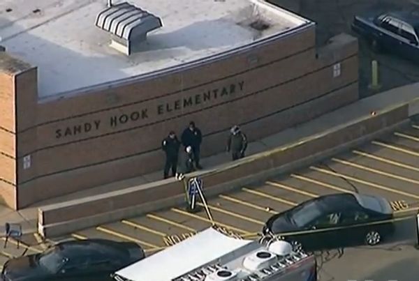 sandy hook hoax